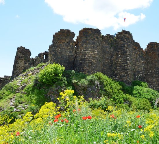 ru-amberd-fortress