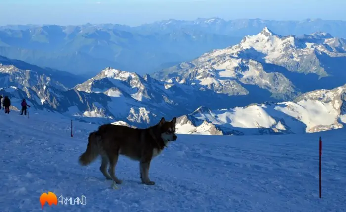 climbing-elbrus