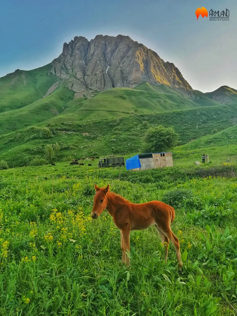 sevajayrmountain