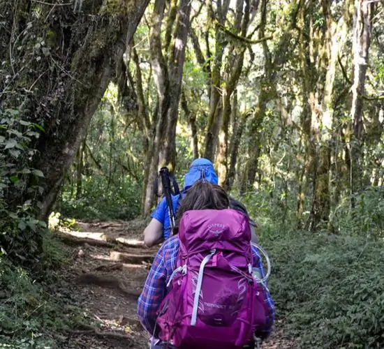 ru-kilimanjaro-trekking
