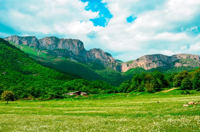 1 Day Tour: Mount Dimats & the Hidden Waterfall