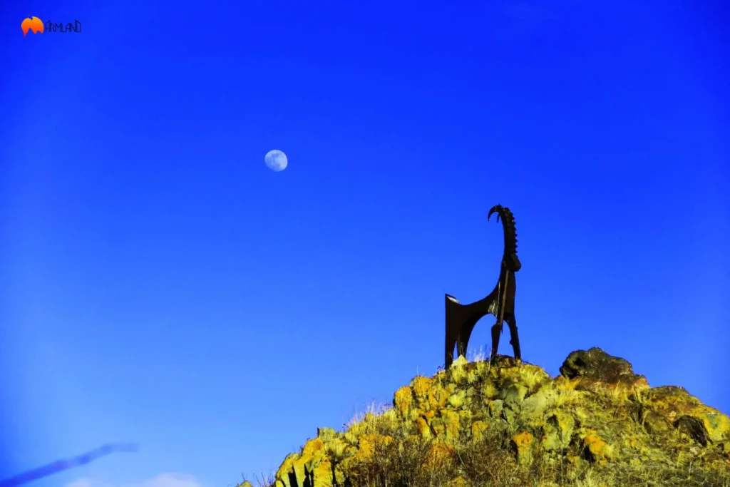 Tour