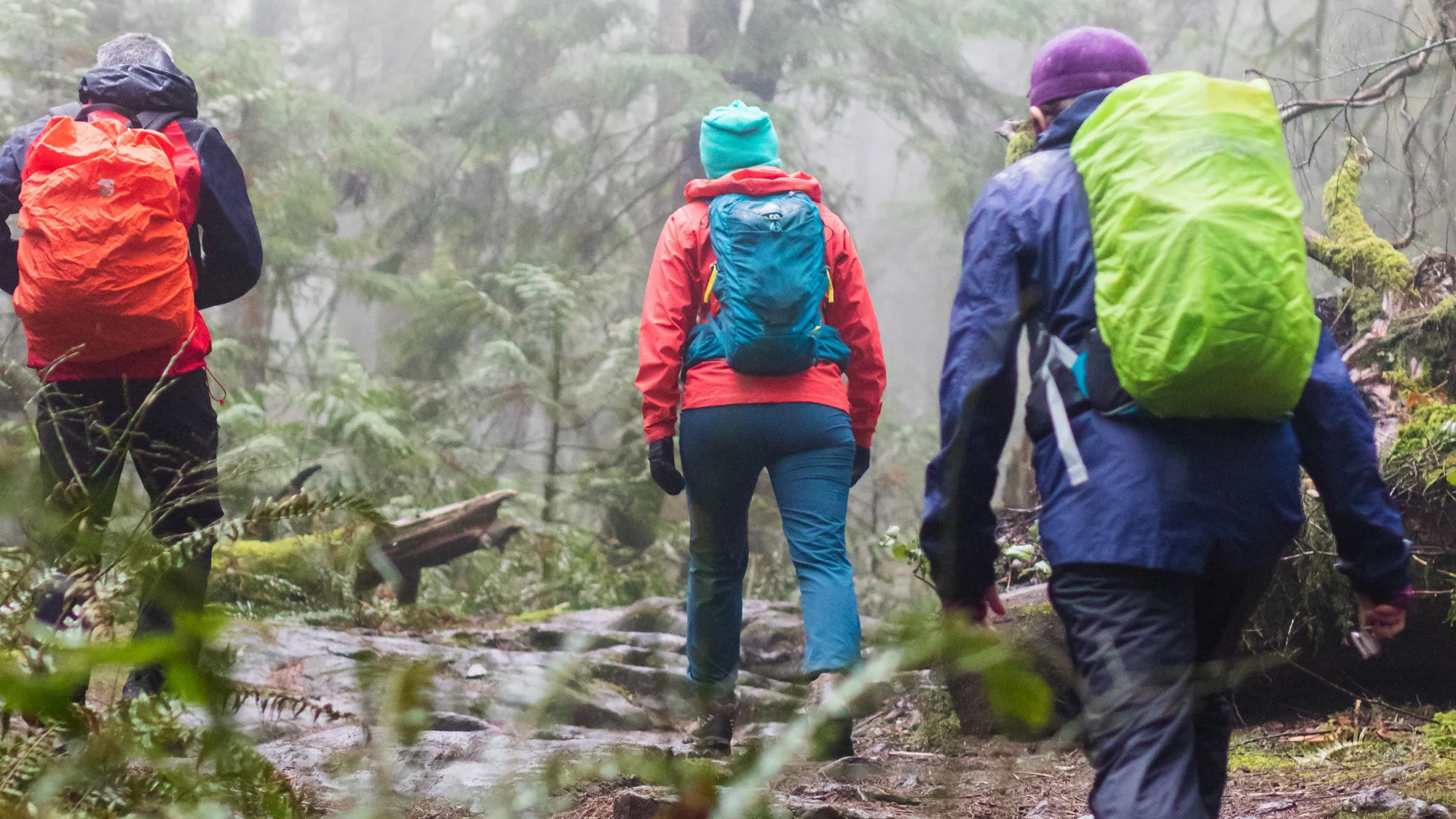 HOW TO PROTECT HIKING GEAR FROM RAIN DURING HIKES