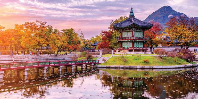 Korea Tour